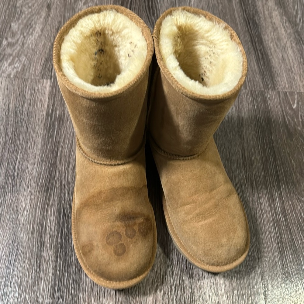 Chestnut classic brown uggs